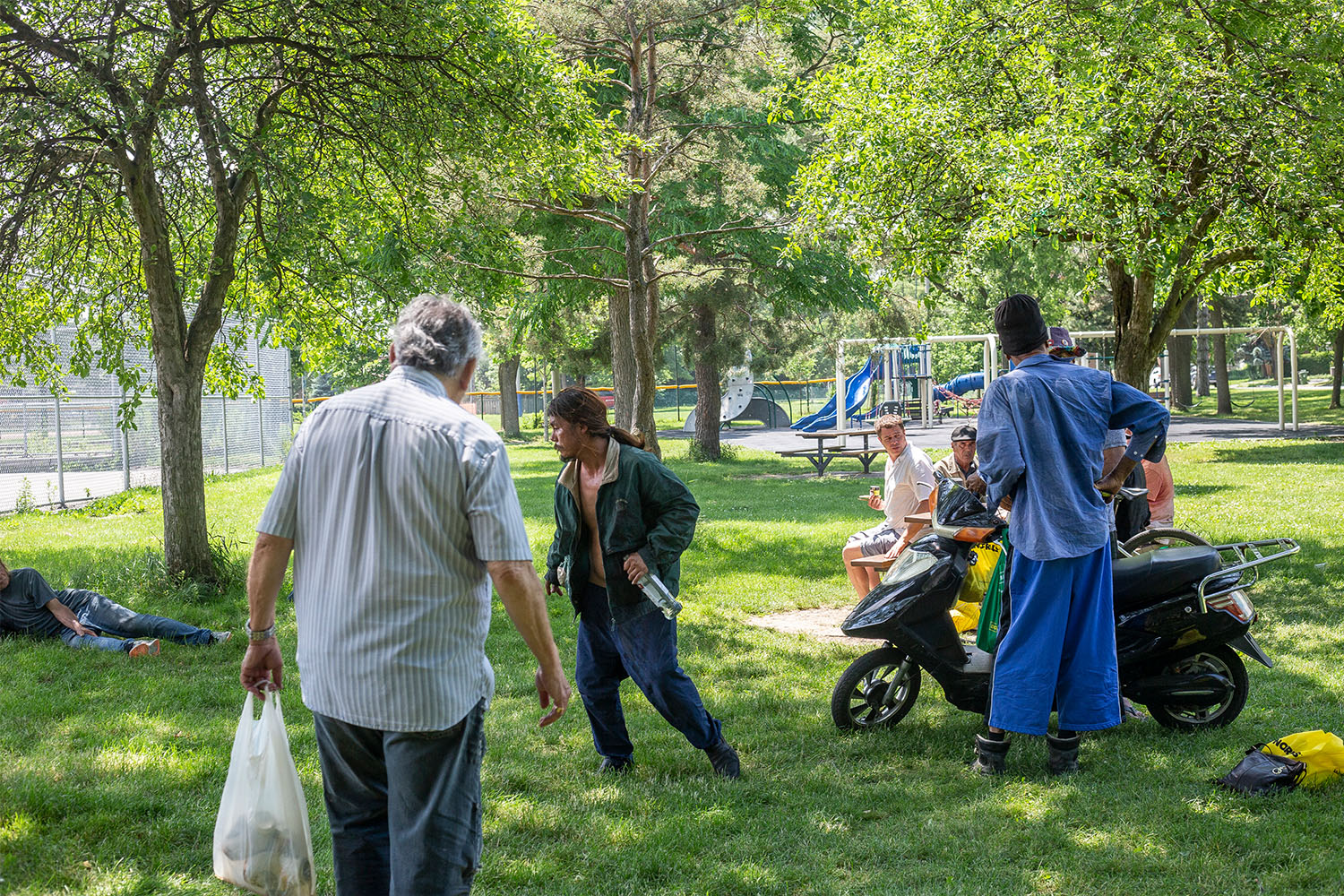 Goulding Park, June 2024. 