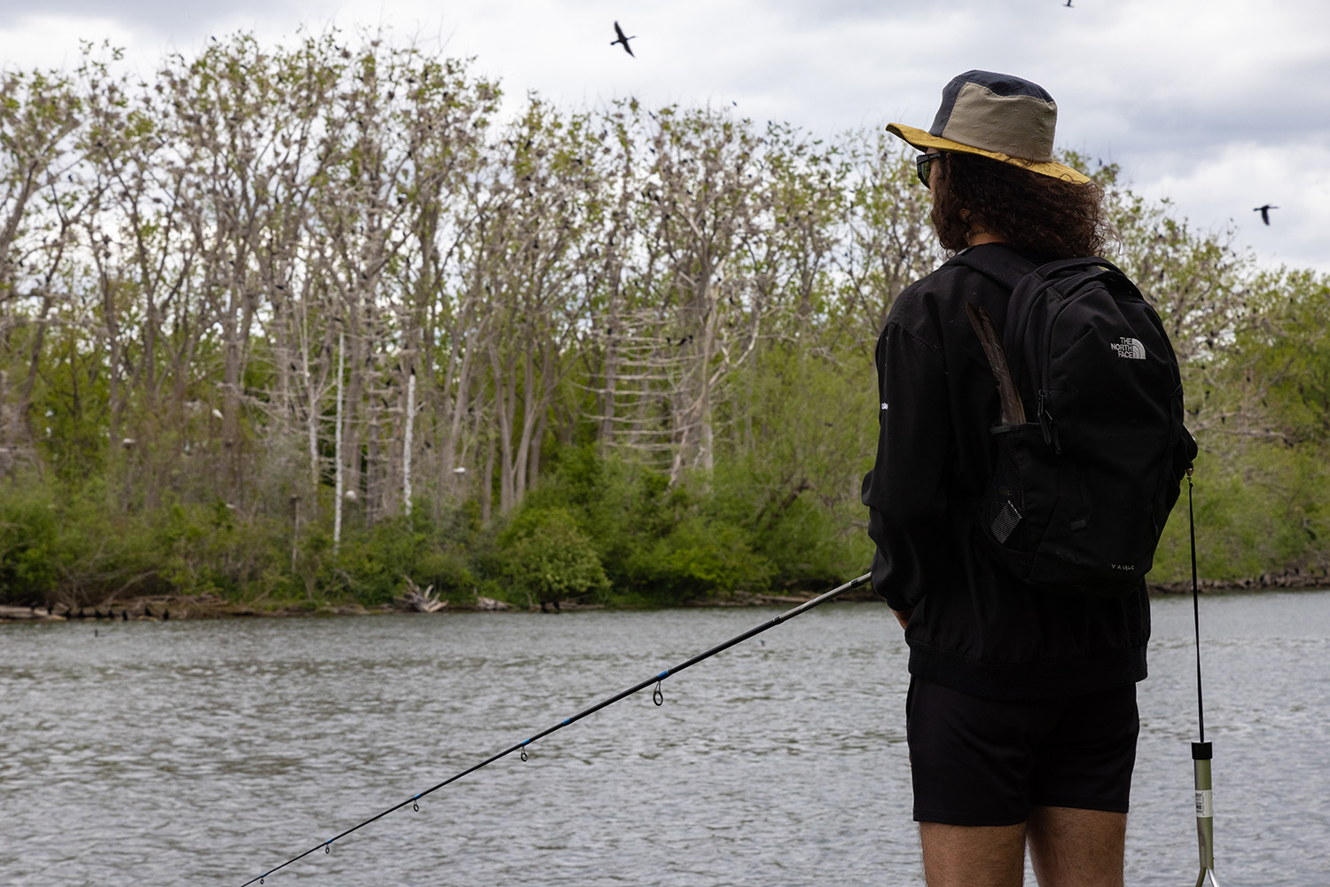 A recreational angler drops a line near a cormorant nesting area on the Toronto Islands.