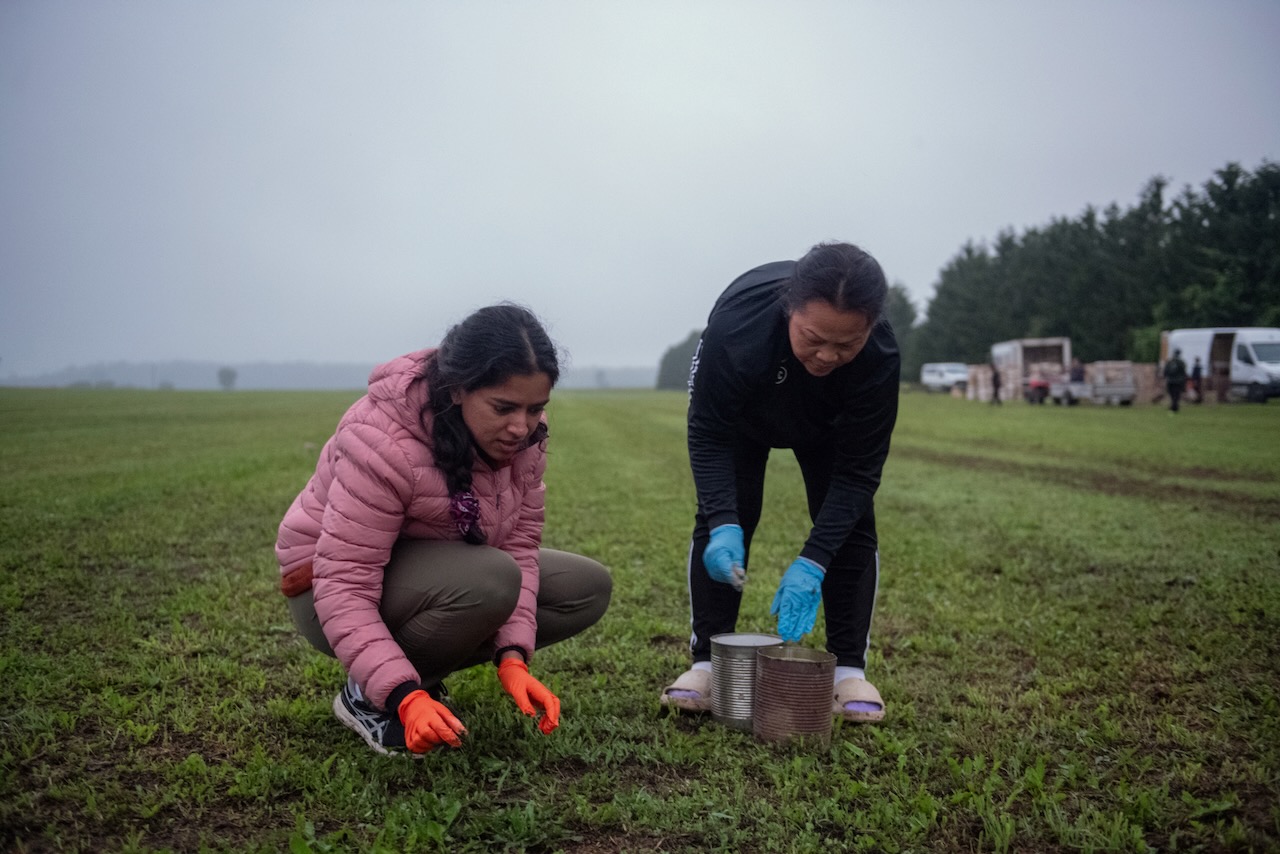 Vatsana Sonethasack, right, teaches reporter Inori Roy how to pick worms at dawn. 