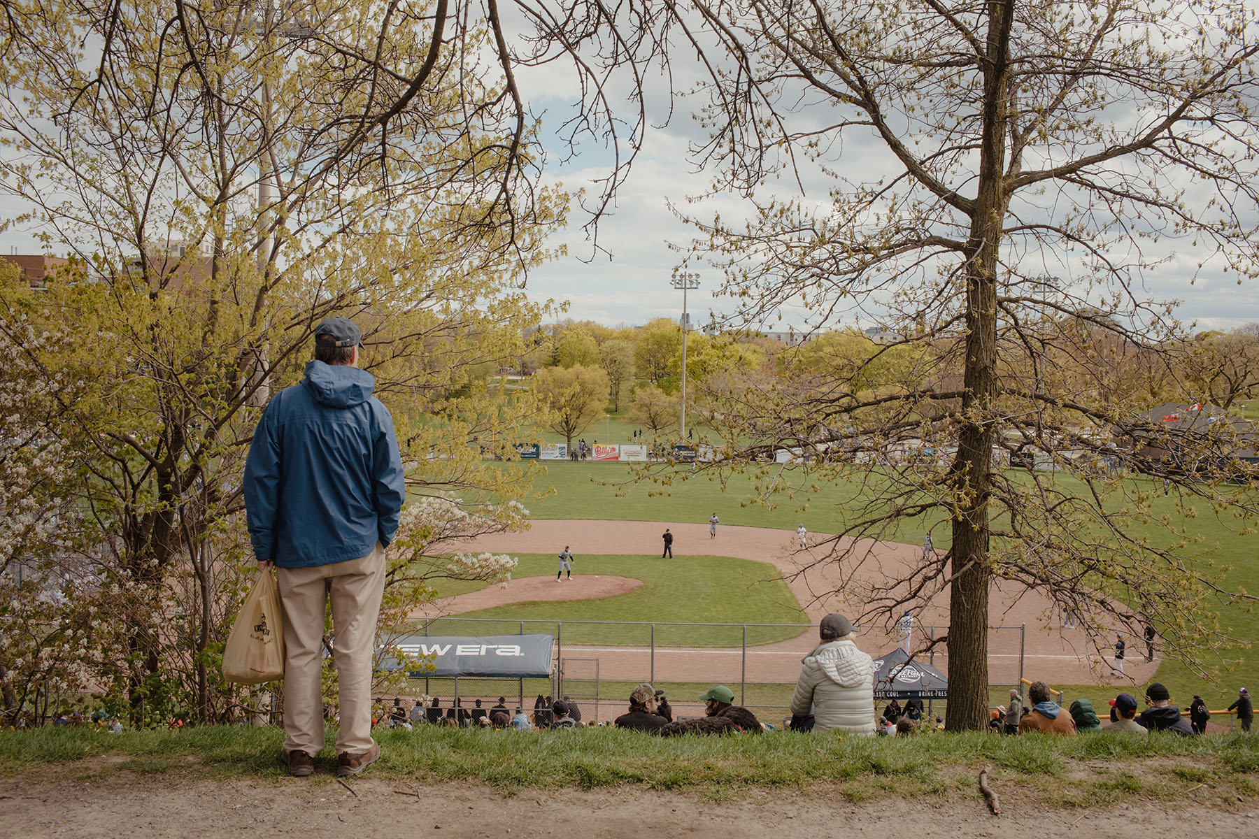 A passer-by stops to watch the game from the north side of Christie Pitts.