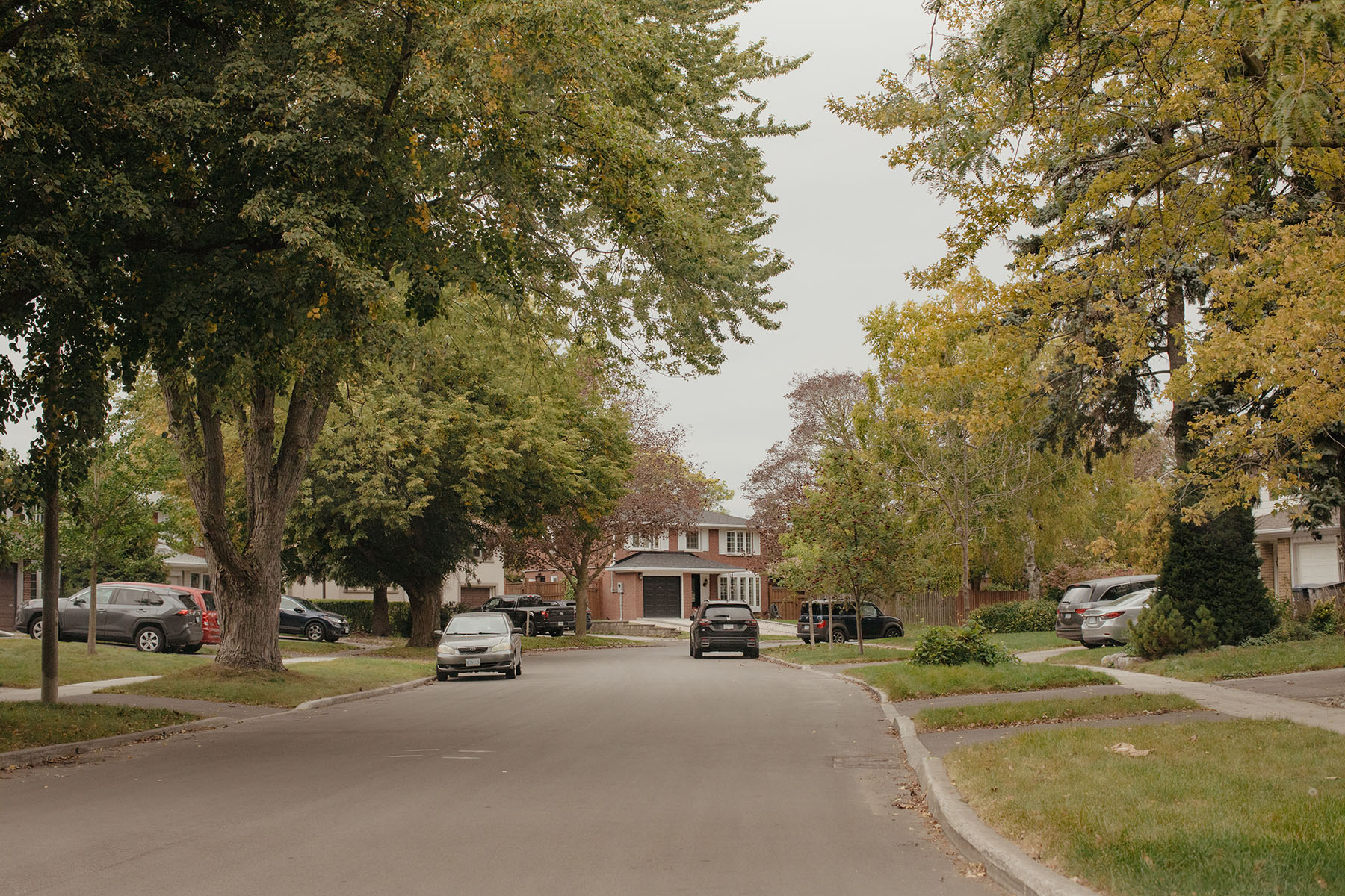As of 2021, most residents in Scarborough Southwest lived in either single-detached houses or apartment buildings more than five-storeys tall.